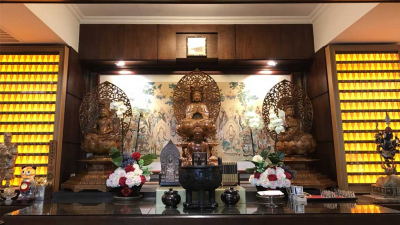 密林分院